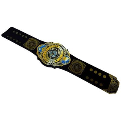 WWE Championship Slap Bands Intercontinental Title Series 1 Smackdown - Thumbnail 2