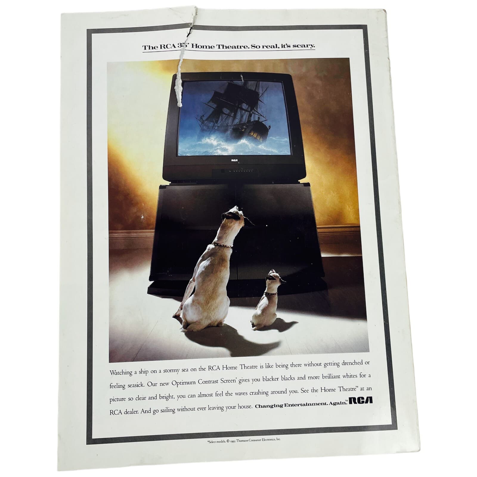 Rush Limbaugh Arlene Baxter Playboy Magazine Dec 1993 Marlon Brando College Hoop - Thumbnail 7