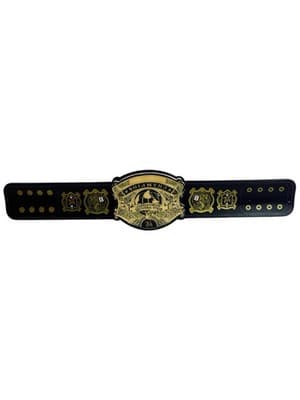 WWE Slap Bands WWE UNDISPUTED CHAMPIONSHIP Title Adrenaline Collection - Thumbnail 2