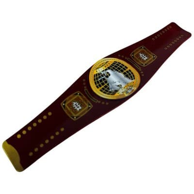 WWE Slap Bands NXT NORTH AMERICAN CHAMPIONSHIP Title Series 1 Slapband Belts - Thumbnail 9