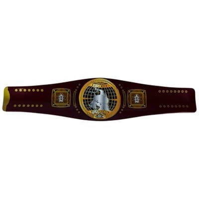 WWE Slap Bands NXT NORTH AMERICAN CHAMPIONSHIP Title Series 1 Slapband Belts - Thumbnail 7