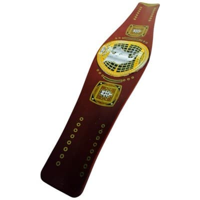 WWE Slap Bands NXT NORTH AMERICAN CHAMPIONSHIP Title Series 1 Slapband Belts - Thumbnail 4