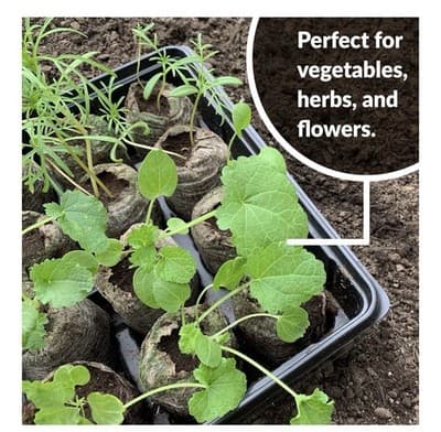 Jiffy Seed Starter Kit 2 Pack 36 Cell Seeding Tray Germination Humidity Dome - Thumbnail 8