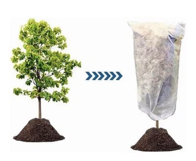 Agfabric Plant Cover Frost Protection Blanket 120x120 1.5oz Winter Shrub Jacket - Thumbnail 2