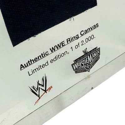 Authentic WWE WrestleMania 22 Ring Canvas Resin Encased Collectible 1/2000 - Thumbnail 5