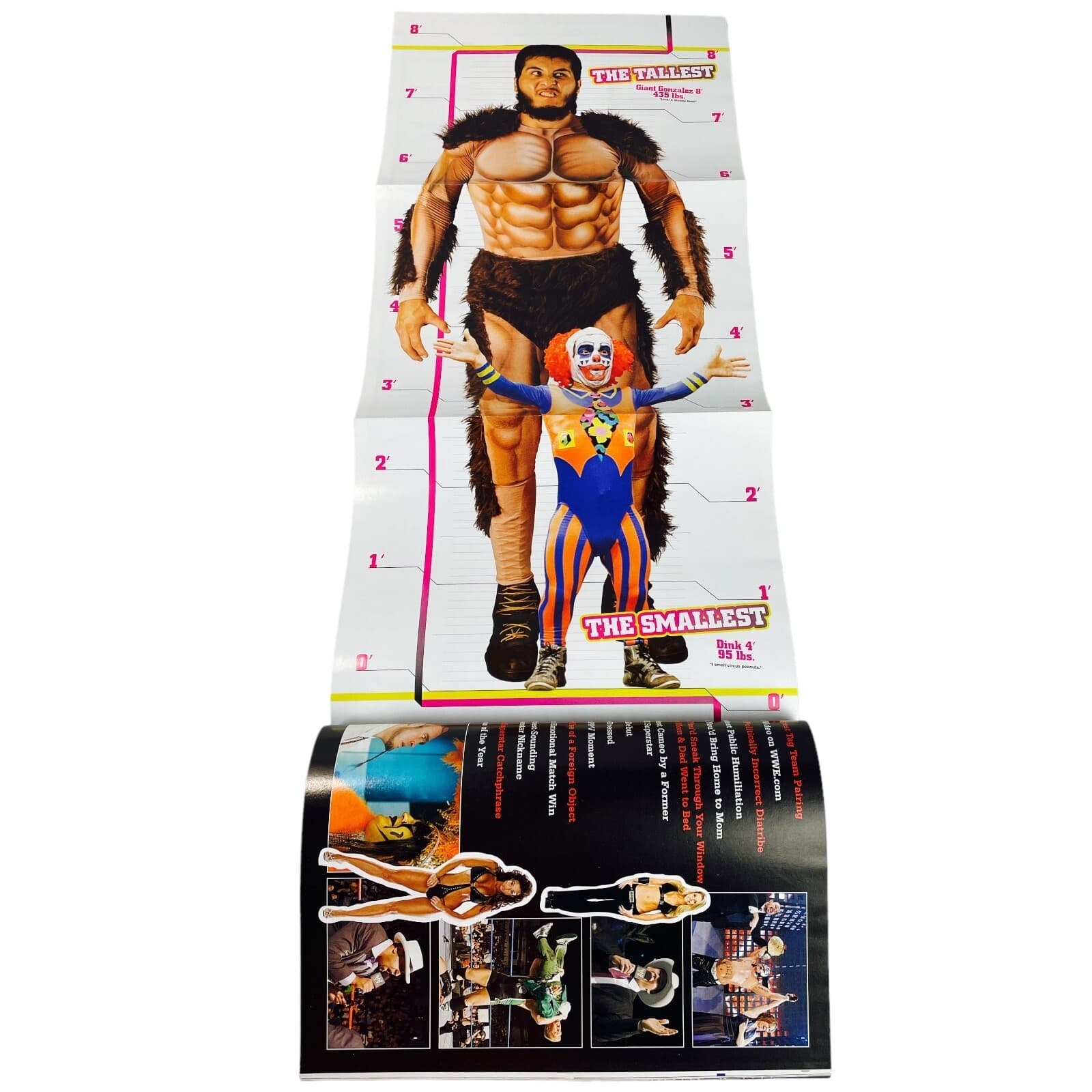 WWE Magazine Premiere Issue Giant Poster Intact Ric Flair Divas Shoot Aug 2006 - Thumbnail 2