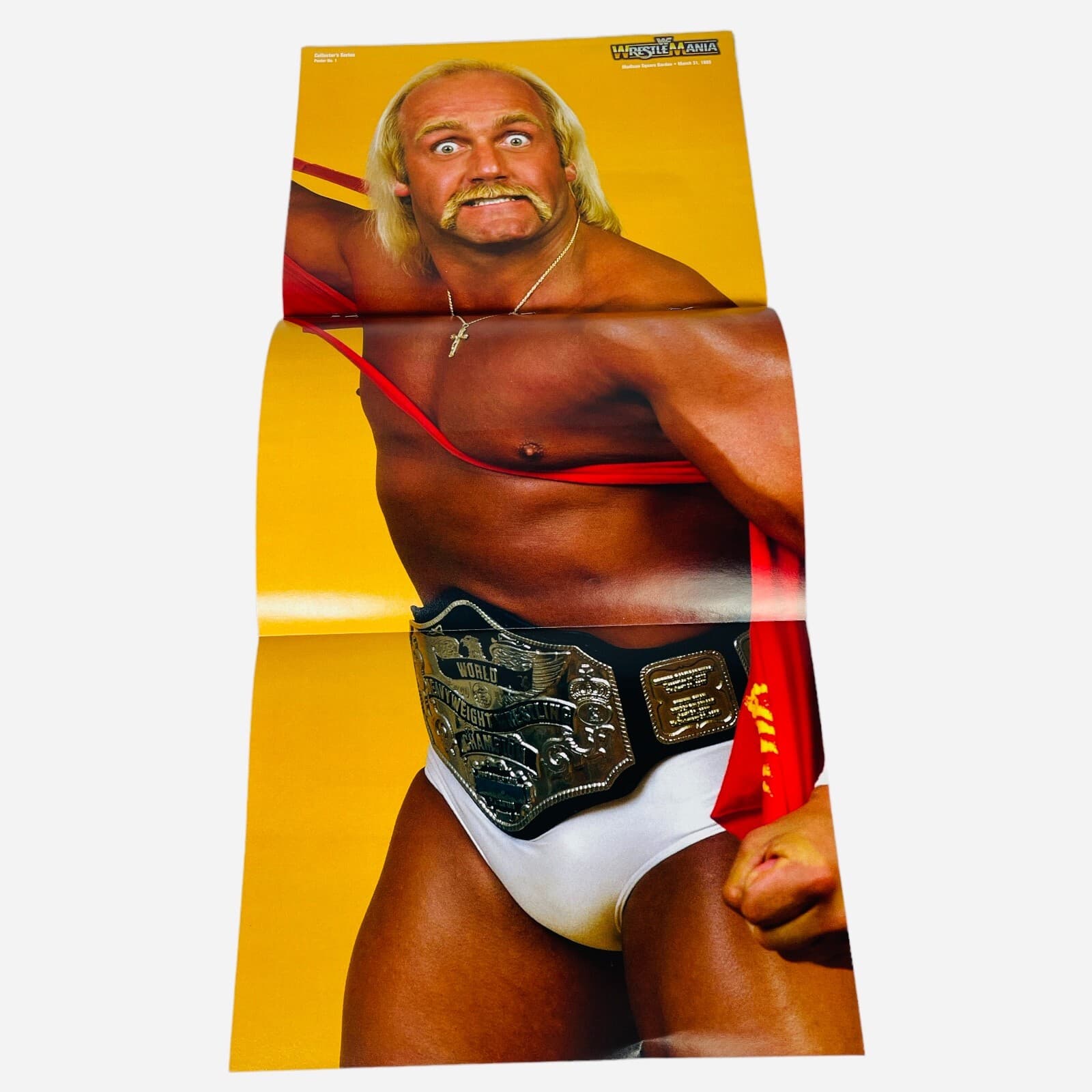 Hulk Hogan WWE Raw Magazine Sept 2003 Dudleys Kurt Angle WrestleMania Poster - Thumbnail 8