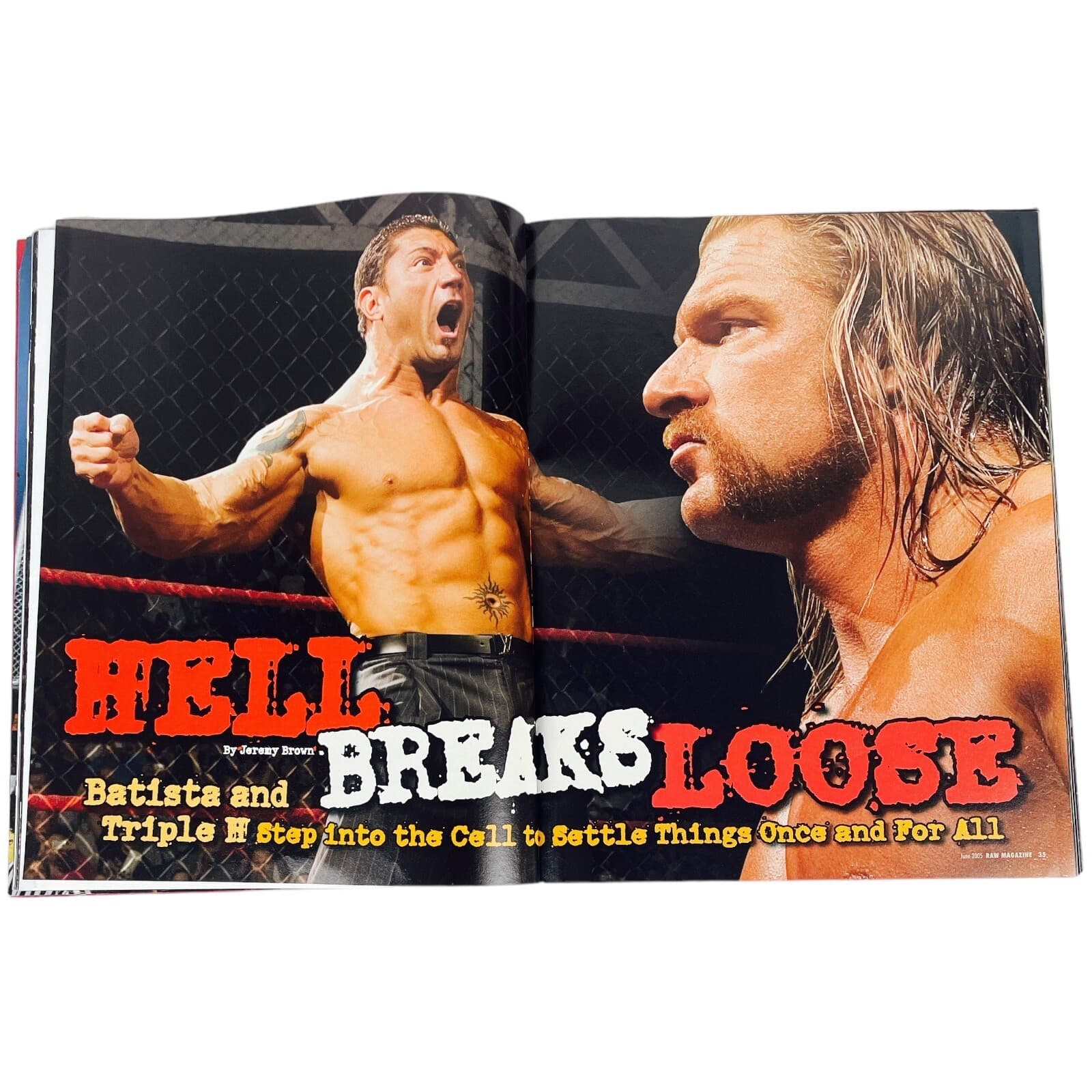 WWE Raw Magazine June 2005 Batista Triple H Hulk Hogan Undertaker Poster Intact - Thumbnail 10