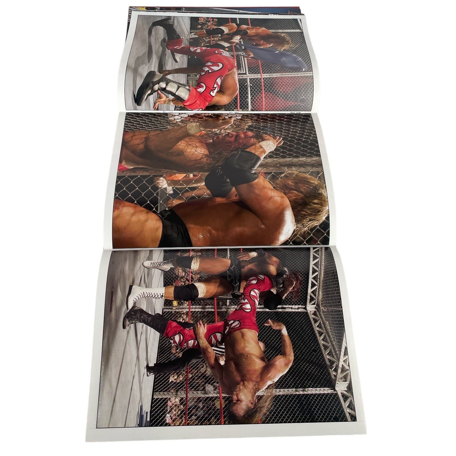 WWE Raw Magazine June 2005 Batista Triple H Hulk Hogan Undertaker Poster Intact - Thumbnail 9