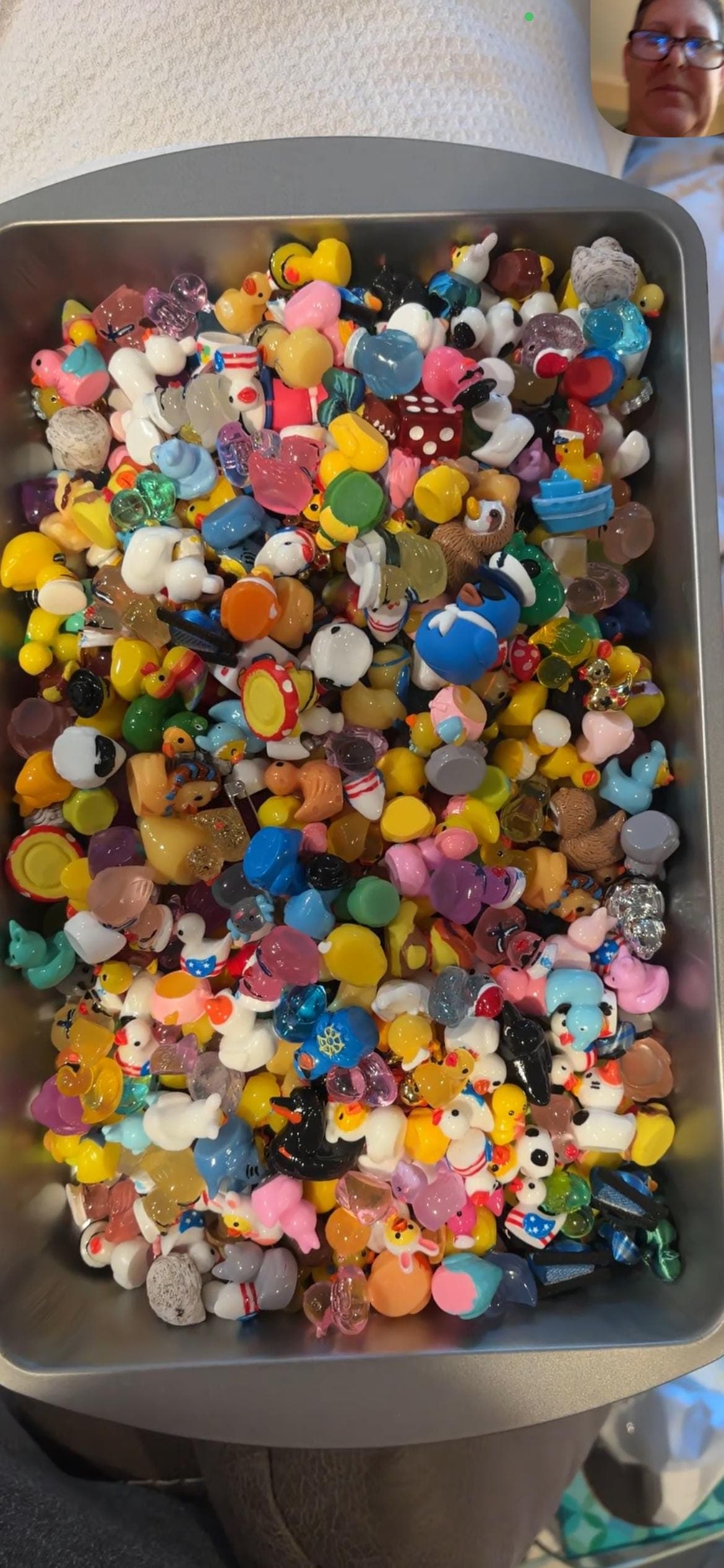 MYSTERY SCOOP - Mini Resin Ducks | Cruise Ducks, Jeep Ducks, Fairy Garden Miniatures | Random Mix, No Duplicates - Thumbnail 8