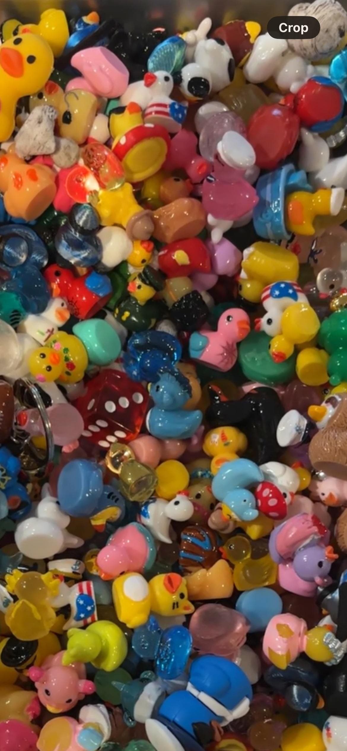 MYSTERY SCOOP - Mini Resin Ducks | Cruise Ducks, Jeep Ducks, Fairy Garden Miniatures | Random Mix, No Duplicates - Thumbnail 6