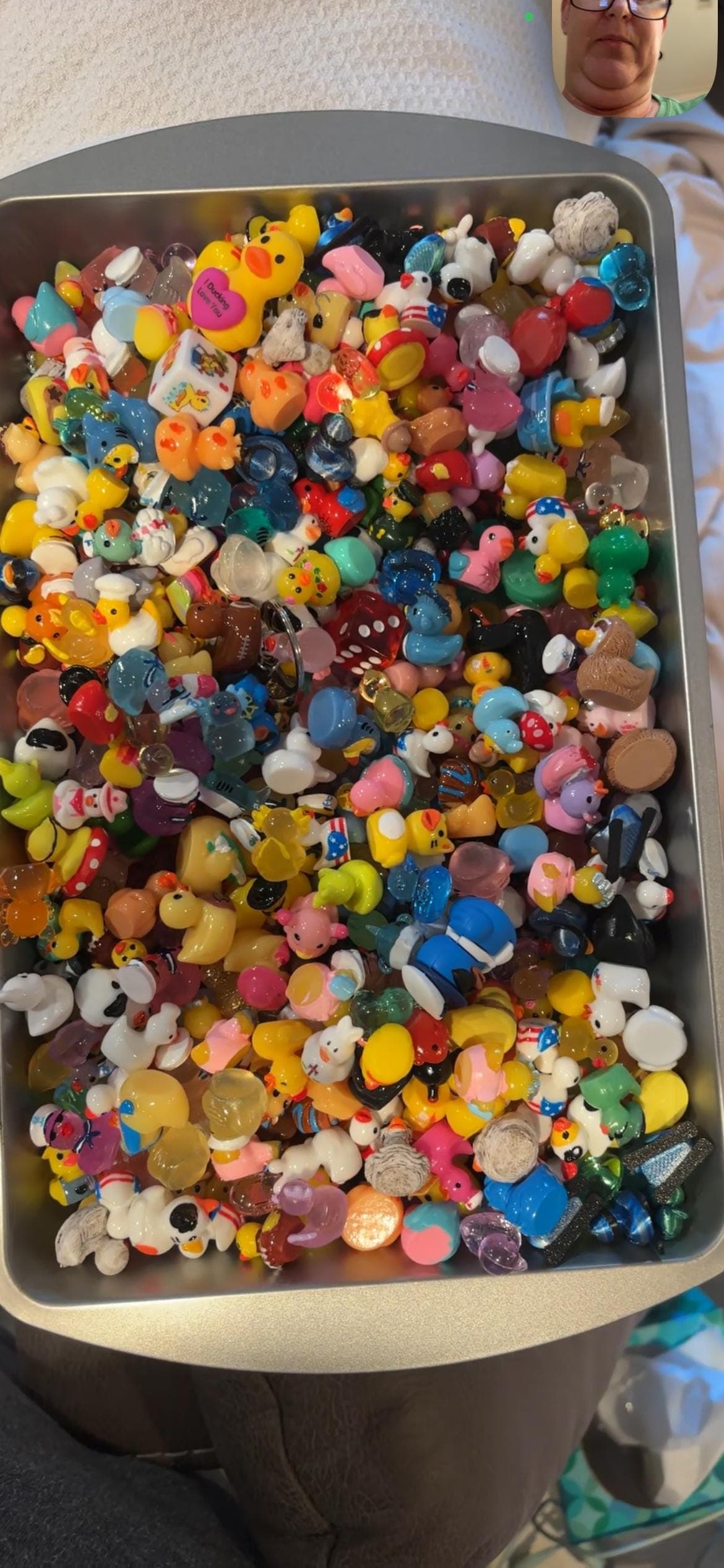 MYSTERY SCOOP - Mini Resin Ducks | Cruise Ducks, Jeep Ducks, Fairy Garden Miniatures | Random Mix, No Duplicates - Thumbnail 7