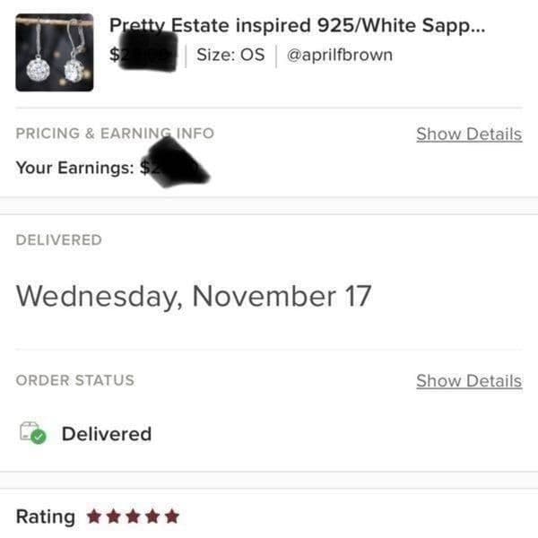 The Karma Earrings 925/White Sapphire Drop earrings - Thumbnail 5