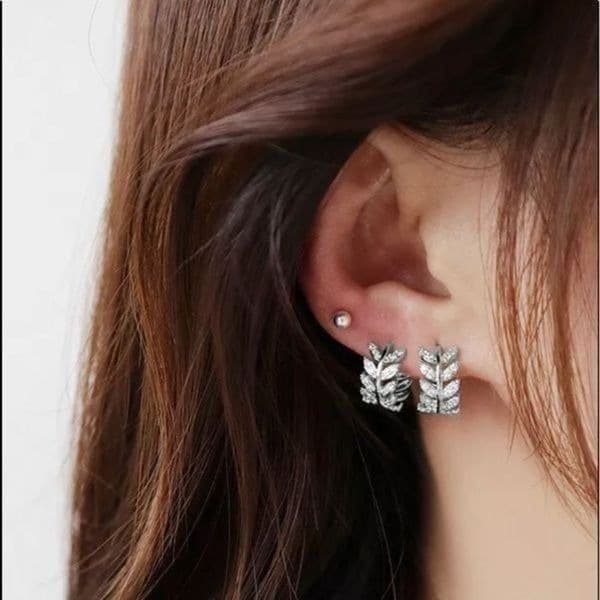 The Eternal Leaf Silver earring’s in 925 and cubic zirconia - Thumbnail 2