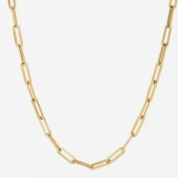 The Latest Obsession in Gold chain link necklace 925 - Thumbnail 2