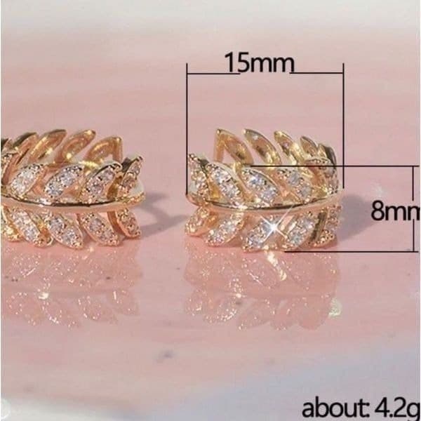 The Eternal Leaf Silver earring’s in 925 and cubic zirconia - Thumbnail 6