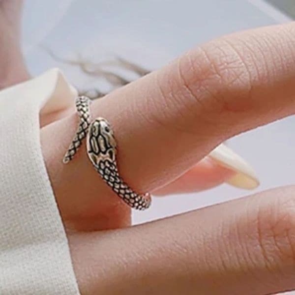 The Mini Serpent Ring adjustable in antiqued 925 silver - Image 1