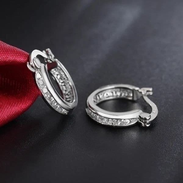 The Prize earrings w/ noble crystal zircon & sterling Silver - Image 1