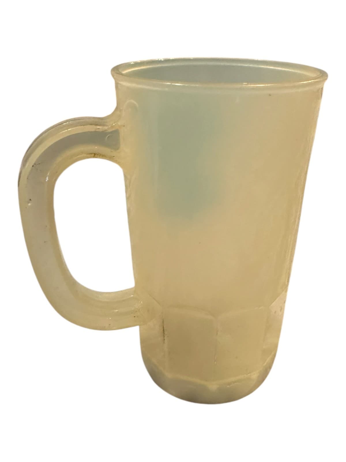 Vintage Florida's Silver Springs ABC Souvenir Frosted Mug Fish Logo - Thumbnail 2