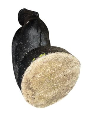 20 in Painted Concrete Pelican Garden Statue Large Nautical Ocean Sculpture - Thumbnail 9