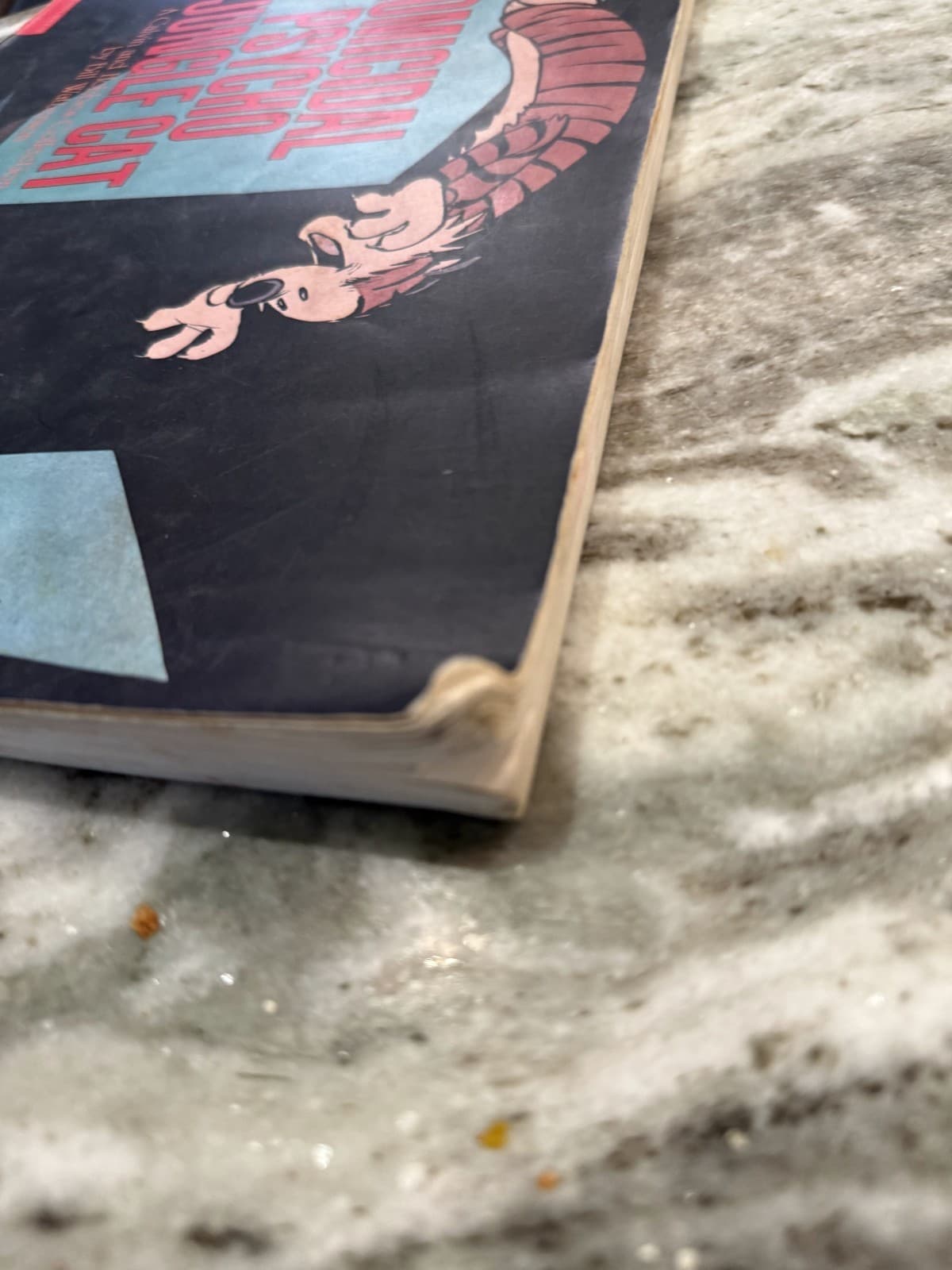 Homicidal Psycho Jungle Cat by Bill Watterson 1994 Scholastic Softcover Book - Thumbnail 3
