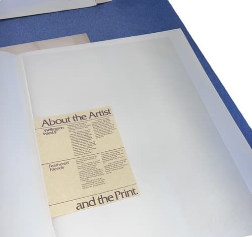 Feathered Friends Limited Edition Print by Wellington Ward Framed 32x24 - Thumbnail 8