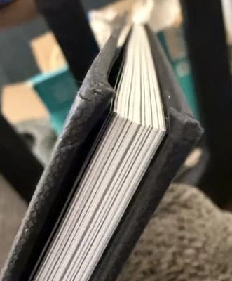Lenore: Noogies Color Edition by Roman Dirge 2009 Titan Books Hardcover - Thumbnail 8