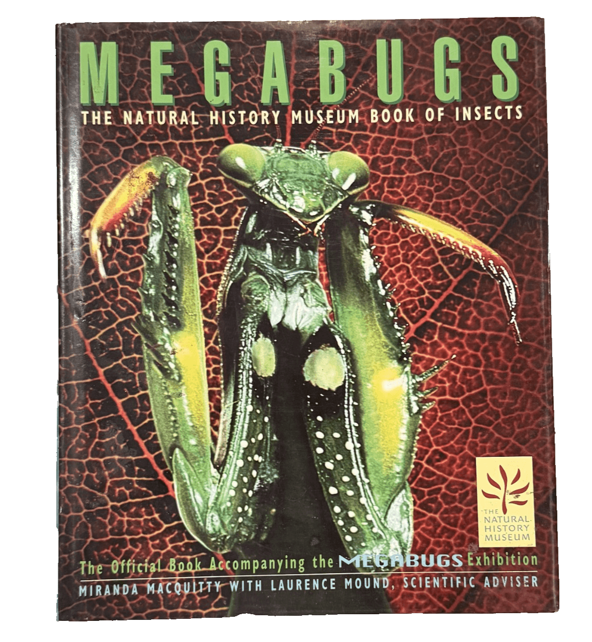 Megabugs: The Natural History Museum Book of Insects Barnes & Noble Hardcover - Image 1