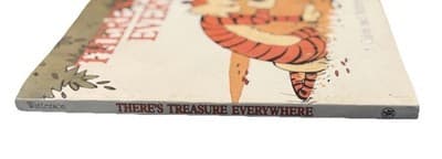 Calvin and Hobbes: There's Treasure Everywhere by Bill Watterson Andrews McMeel - Thumbnail 2