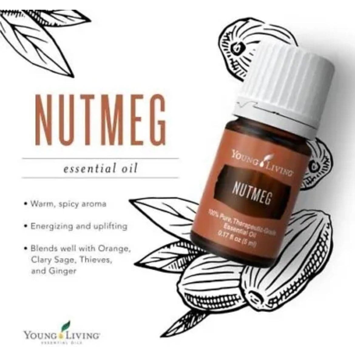 Young Living Essential Oil Nutmeg 5ml Sealed & New - Thumbnail 3