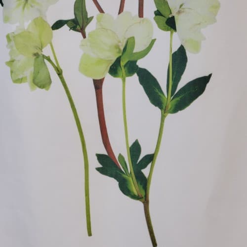 Victoria Beckham for Target Girls Dress L Ivory Watercolor Flowers Satin Ruffle - Thumbnail 4