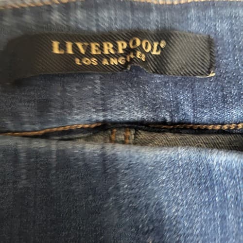 Liverpool LA Women Skinny Legging Jeans 6 Leg Comfort Stretch Blue Wiskering - Thumbnail 8
