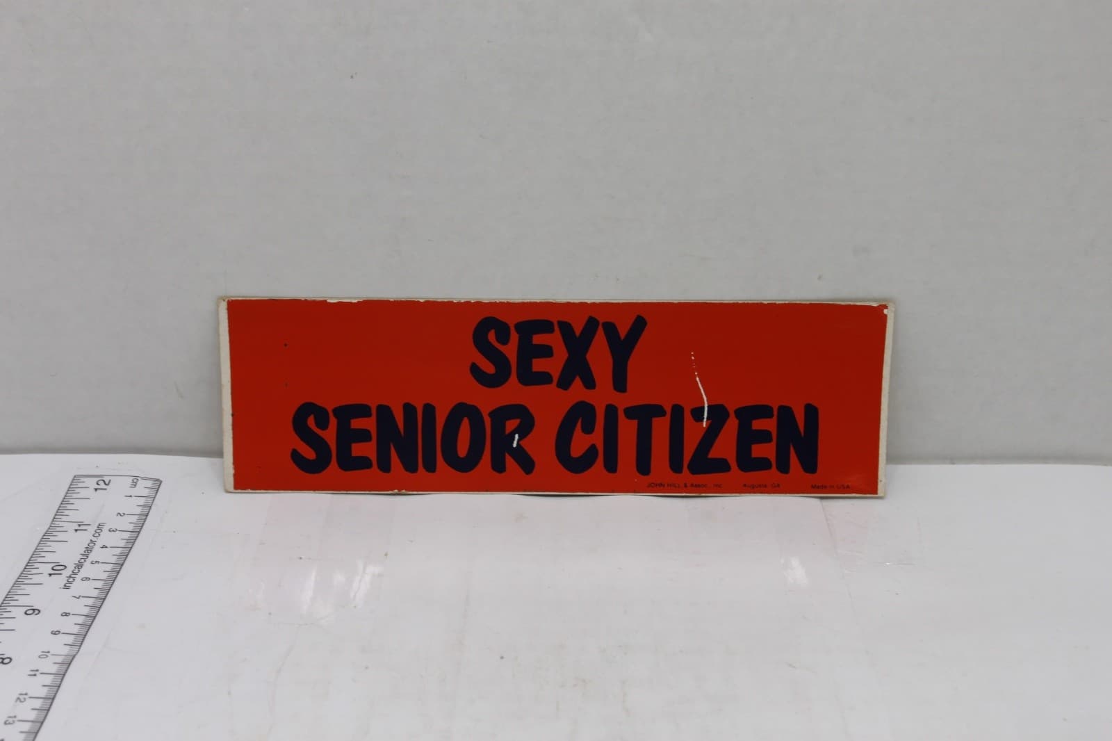 10in x 3in Bumper Sticker "Life Begins When the Children Leave Home & the Dog D" - Image 1