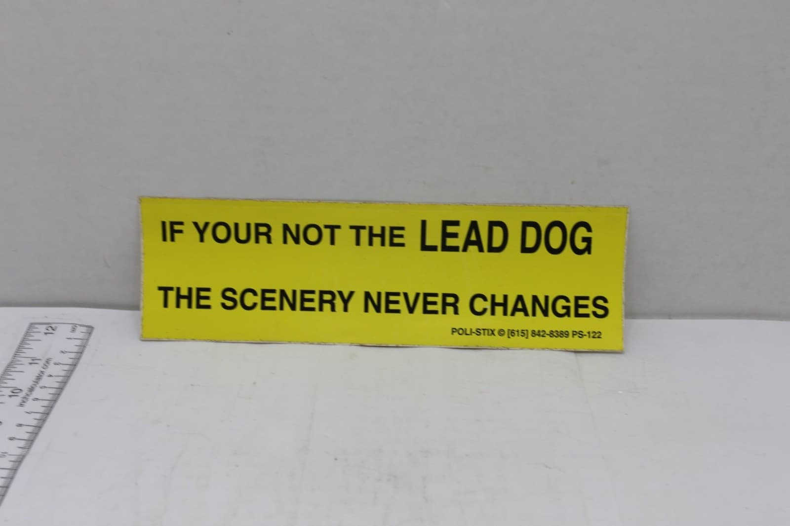 10in x 3in BUMPER STICKER IF YOUR NOT THE LEAD DOG THE SCENERY NEVER CHANGES - Image 1