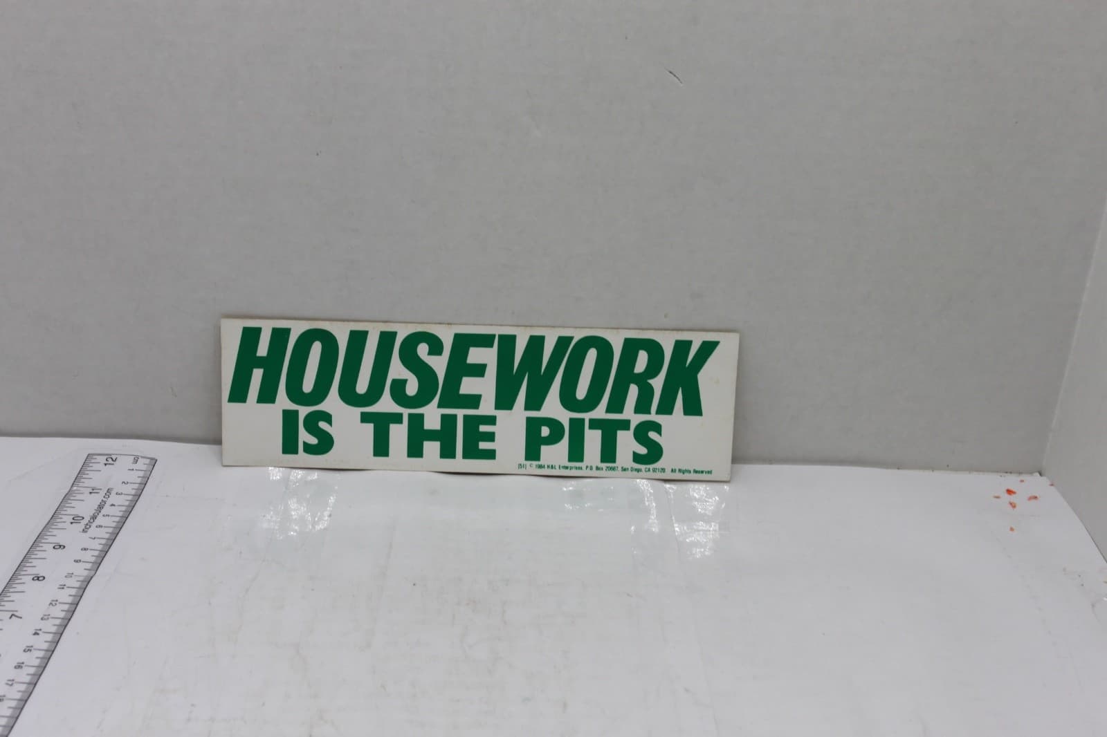 10in x 3in Bumper Sticker "Homework is the Pits" - Image 1