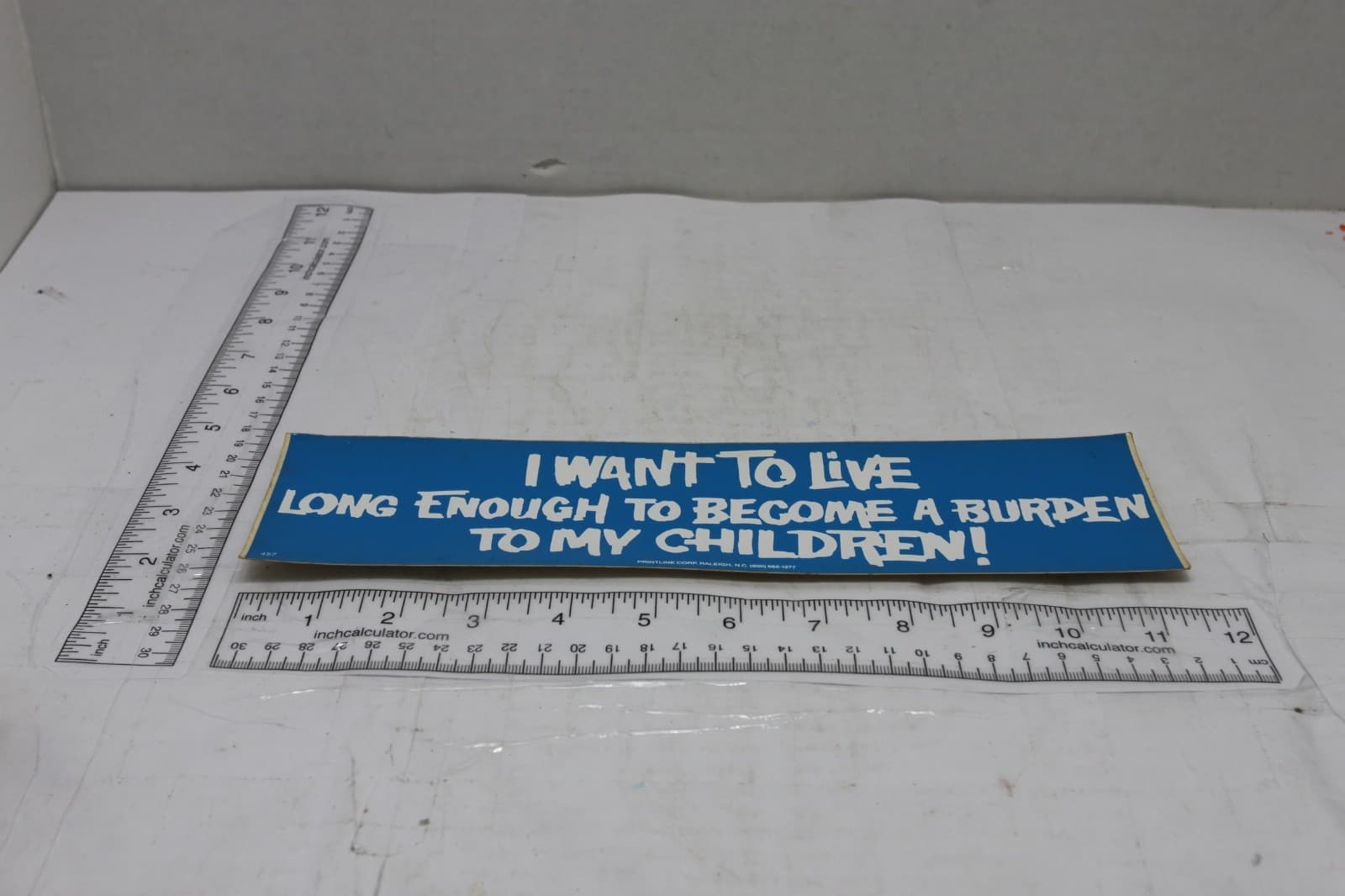 10in x 3in Bumper Sticker "I want to live long enough to become a burden to my " - Thumbnail 2