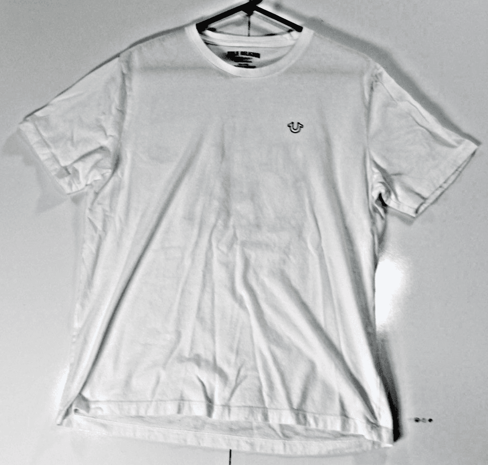 True Religion Men's Fog Beige Buddha Graphic Crew-Neck Short Sleeve T-Shirt LARG - Image 1