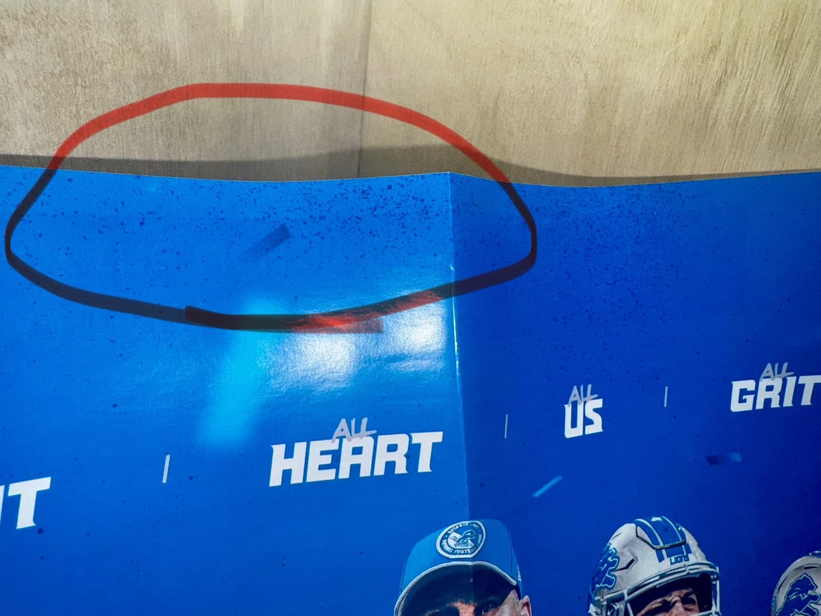 2024 Detroit LIONS NFC Wild Card Roster Card - Thumbnail 6