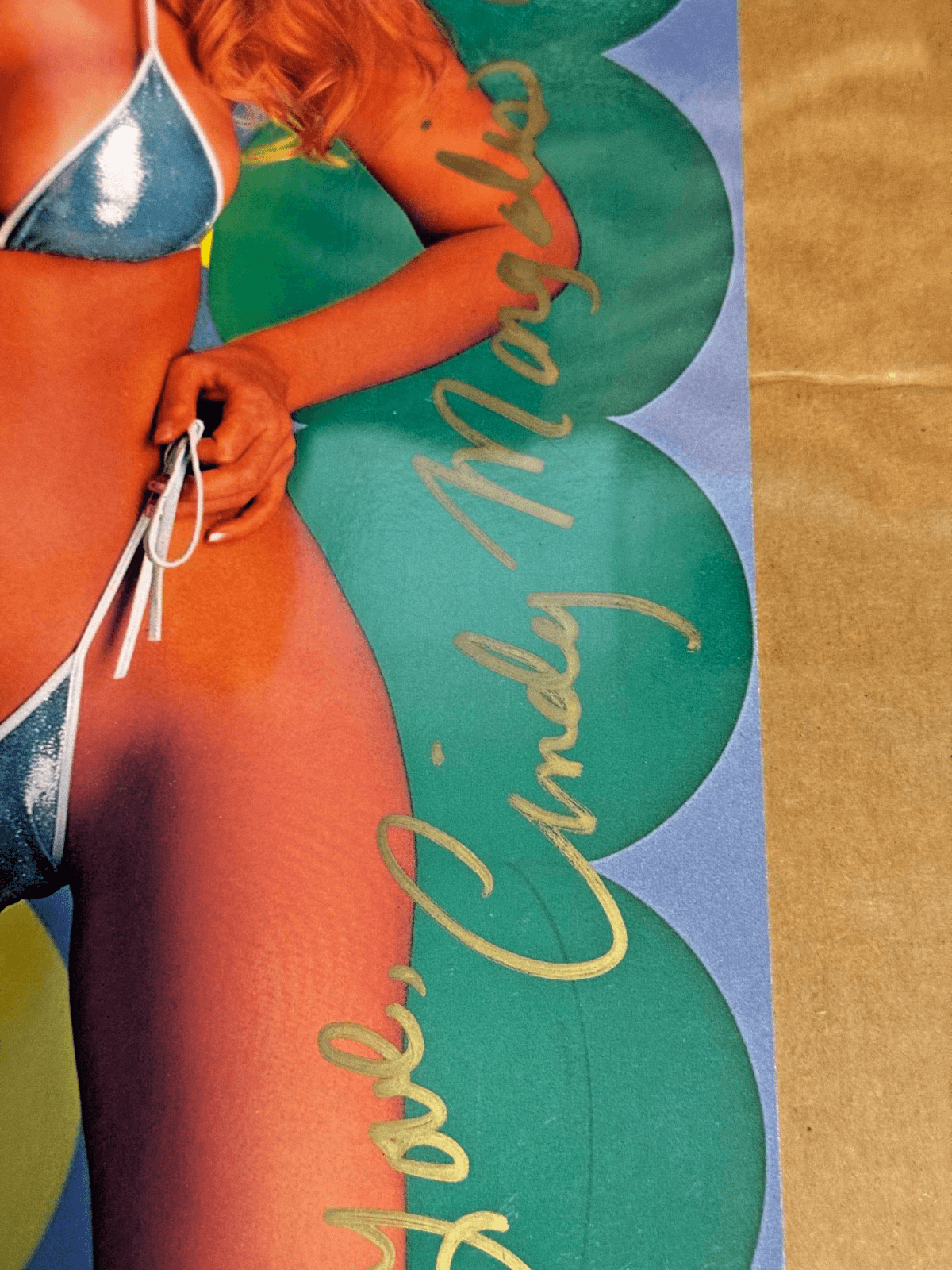 Sexy CINDY MARGOLIS Signed 11X17 Color Bikini Photo - COA 2000 - Thumbnail 2