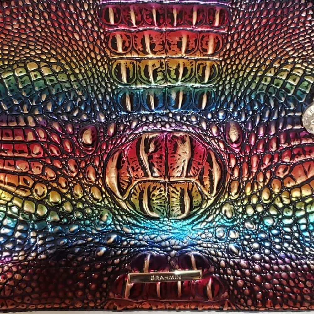 Brahmin Brooke TECHNICOLOR Irridescent Melbourne Purse with matching pouch - Thumbnail 8