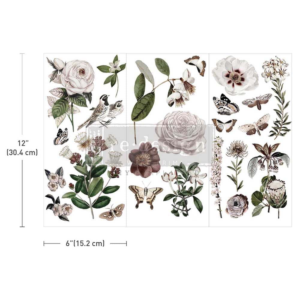 Small Transfers - Secret Garden - Image 1