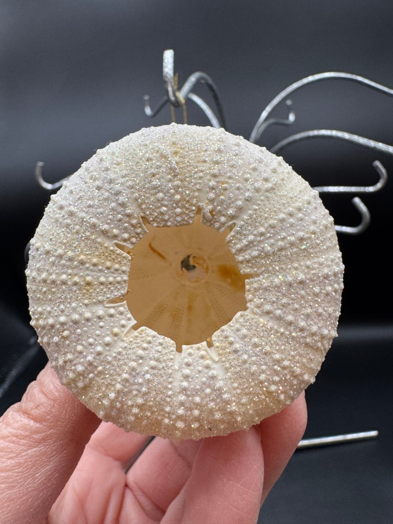 Stacked Sea Urchin Snowman Ornament - Thumbnail 5