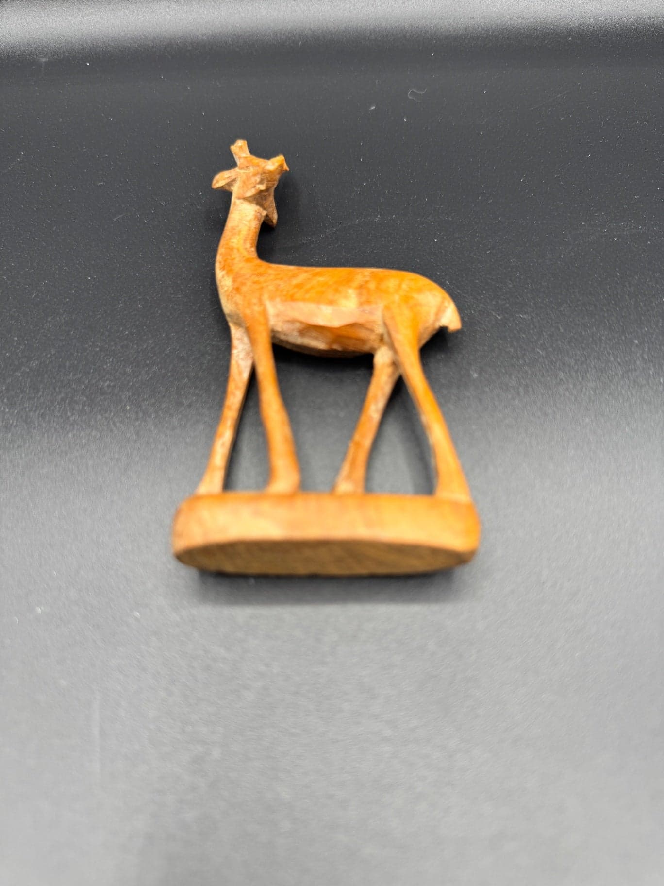 Handcarved Animal Figurine Set - Thumbnail 4