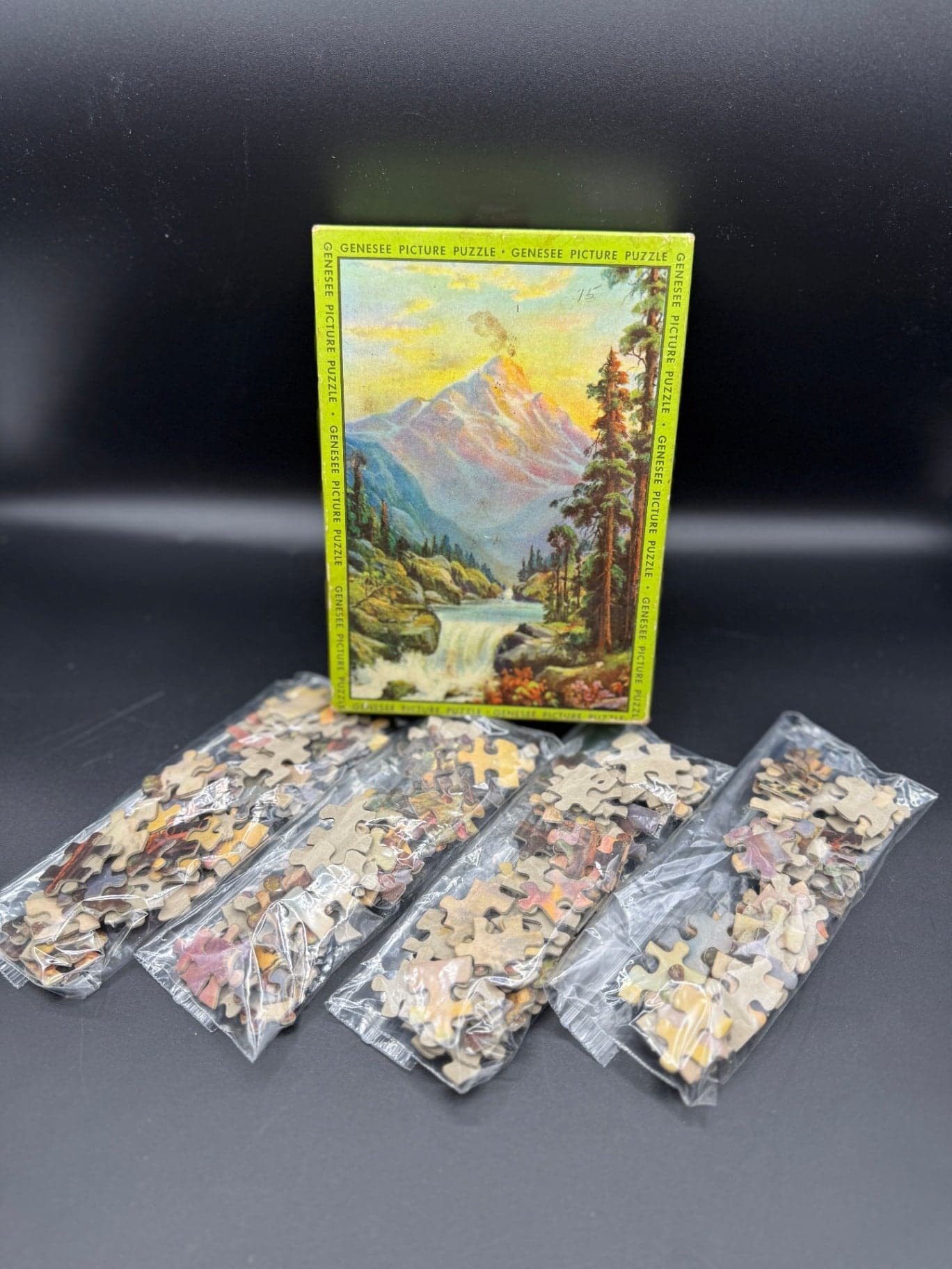 VTG Genesee Pic. Puzzle Pieces, Crafting - Image 1