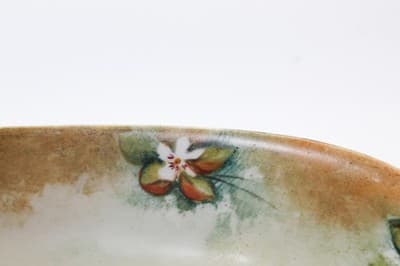 Antique Hand Painted Made in Germany Floral Porcelain Oval Serving Dish - Thumbnail 5