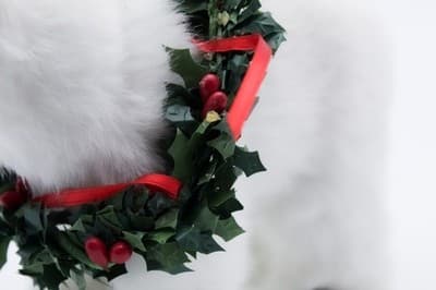 Byers' Choice Vintage 2009 Polar Bear With Wreath The Carolers Christmas Doll - Thumbnail 3