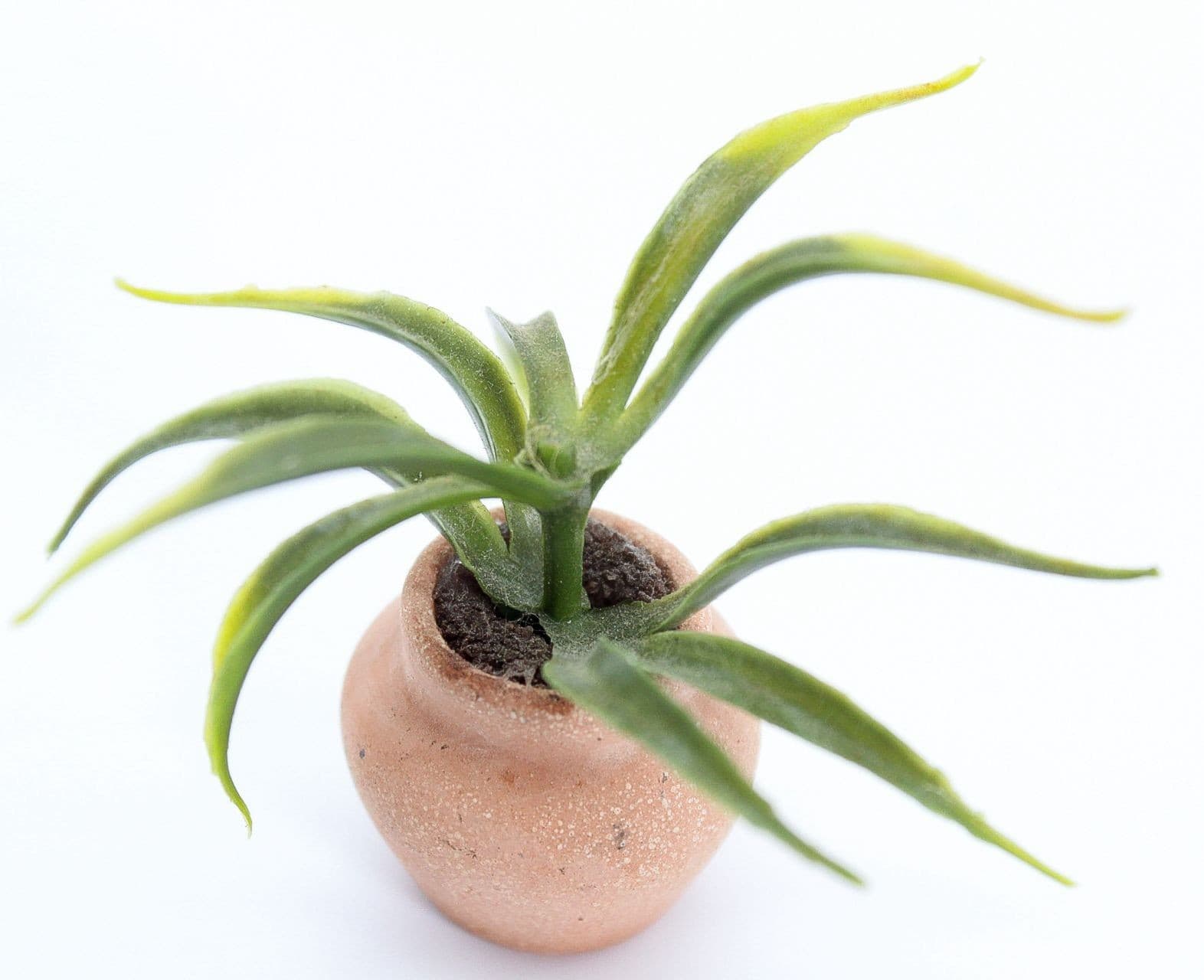 Vintage Dollhouse Miniature House Plant Accessory In Pottery Pot 1:12 - Thumbnail 2