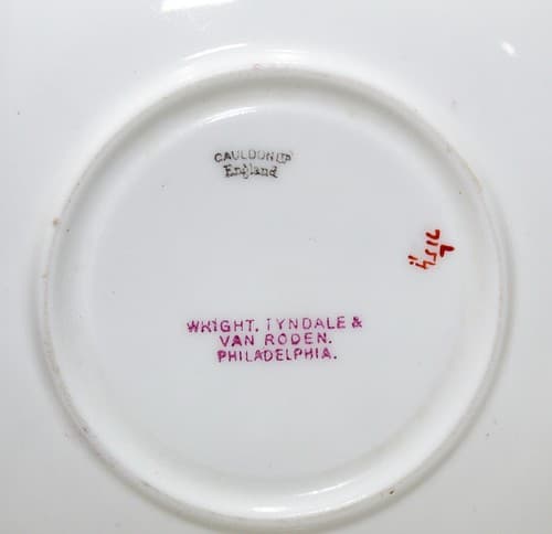 CAULDON Antique Hand Painted Floral Motif Porcelain Boullion Cup & Saucer RARE - Thumbnail 7