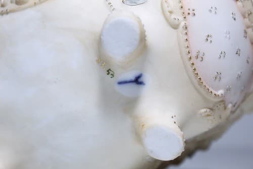 Antique Hand Painted Jeweled Bisque Hallmarked Cupid Basket Bowl - Thumbnail 9