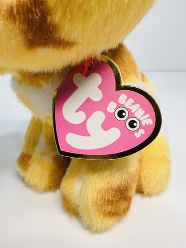 TY The Beanie Boo's Collection PABLO Dog The Chihuahua 8” Stuffed Animal Toy - Thumbnail 6